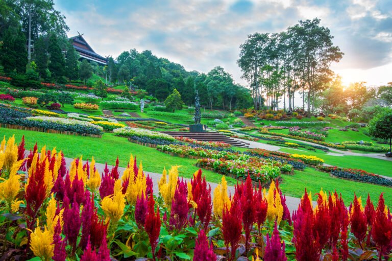 Garden flowers, Mae fah luang garden locate on Doi Tung in Chiang Rai,Thailand.